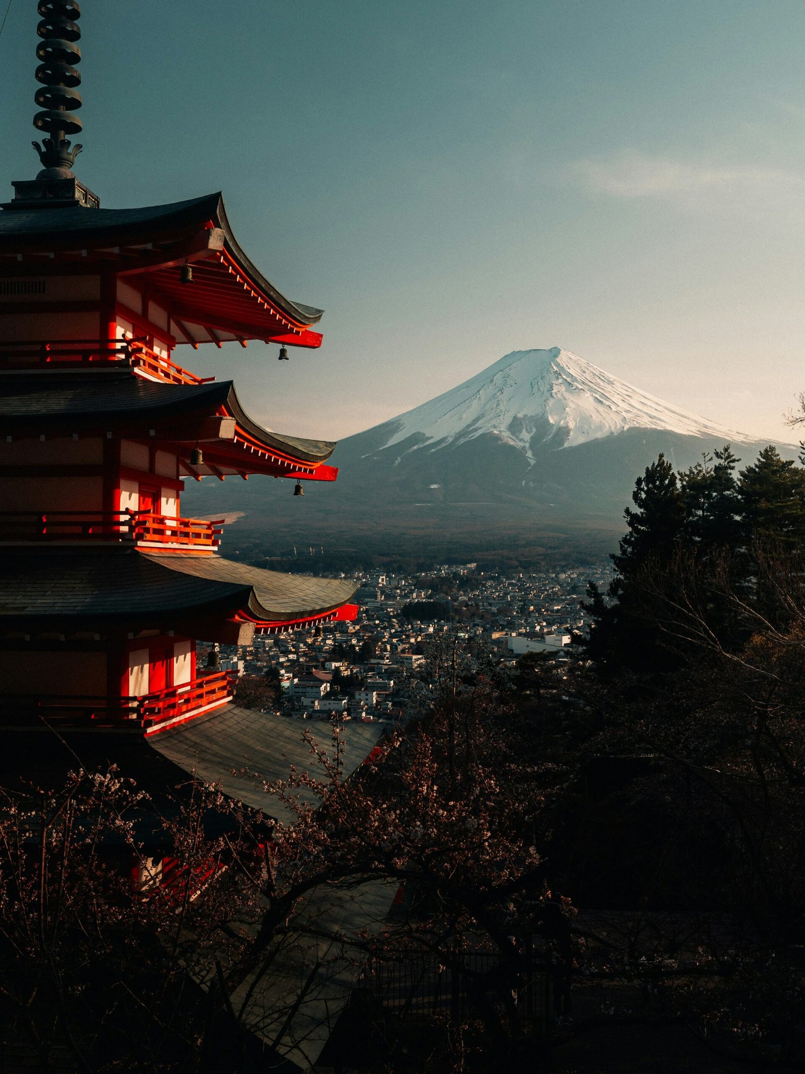 Japan Travel Guide
